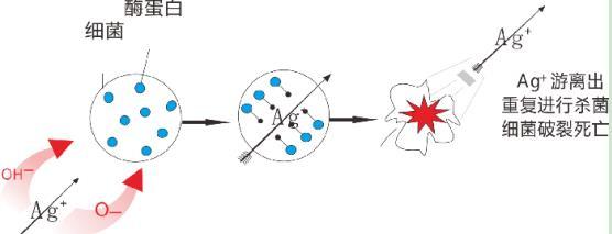 龍勝三層納米抗菌水管有效嗎?配圖解原理,99.99%抗菌率不是蓋的! 龍勝三層納米抗菌水管有效嗎?配圖解原理,99.99%抗菌率不是蓋的!